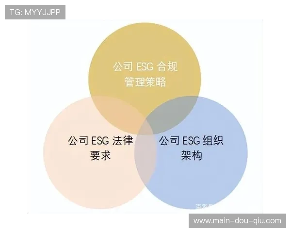 数字伦理框架本季度构建，技术应用合规性与社会责任并重